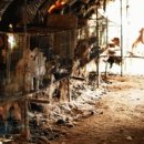 공범농장 이미지