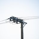 사법행정사 이미지