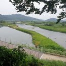 용뎅이매운탕 이미지