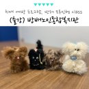 방배노인종합복지관 | 서울 서초구 방배 노인 종합 복지관, 치매 예방 프로그램 반려 모루인형 출강