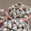 바람의마을 손칼국수 이미지