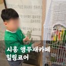 아이와 가볼만한곳, 앵무새가 있는 시흥 이색카페 힐링코어(주차가능)