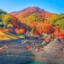 우리나라에서 가장 이국적인,,, 1500개 돌탑이 장관인 단풍명소 이미지