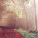 비엠머티리얼즈 이미지