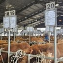 김진호농장 이미지