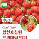 용주농원 이미지