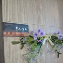 강남족욕(광명점) | 강남 한아름조리원 리뷰 / 시설, 서비스, 친절, 가격, 등등 기억나는 모든것! / 6층 통창방, 비통창방...