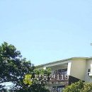 강정동-61 이미지