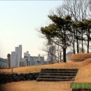 최정걸 장군묘 이미지