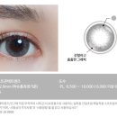 그레이디어 이미지