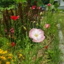 암스트롱요양병원 이미지