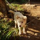 오복떡집 이미지