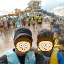 용인대 예도 태권도 이미지