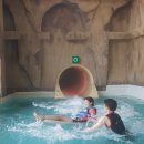 대명리조트 노블리안 회원권 [삼척쏠비치여행후기]