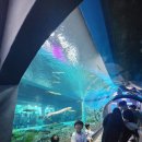 괴강관광농원캠핑장 이미지