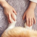 강남종합동물병원 이미지