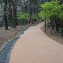 장군산 둘레길 이미지