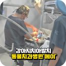 서울메이치과병원 이미지
