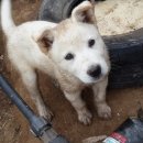 참농농장 이미지