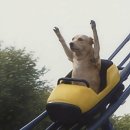 사이코PC방 | 블로그가 희한하게 생겼네요