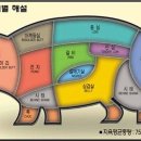 고기류 이미지