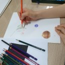 보테니컬아트 색연필 그림 그리기 기초 배우기 이미지