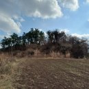 화순리 산방도서관 | 화순리 논오름 (제주도오름 38) : 우연히 알게 된 전망 좋은 오름