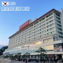 동백로 67 | 해운대 호텔 웨스틴 조선 부산 까밀라아 조식 뷔페 워크인 이용 후기