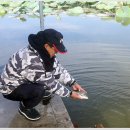 포인트낚시터 이미지