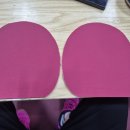 가격할인)자이어03 2.7mm 일주일사용 중고러버 팝니다 낱개판매가능 이미지