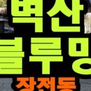 금조공인중개사사무소 이미지