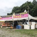 배꼽있는배 농원