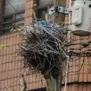 까치세탁소 이미지