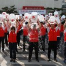 세븐버킷 이미지