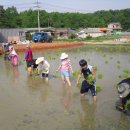 세심농장 이미지