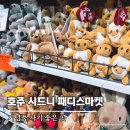 460 | 호주 시드니 기념품 추천, 패디스마켓 460기념품샵 가격·구매 후기