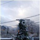 모나코펜션 | 가평애견펜션 찾으신다면?! 가평모나코애견펜션 후기 대공개!