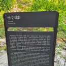 춘천 나들이 (통나무집닭갈비 본점, 소양호, 청평사)