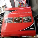 멀티포퍼스 이미지