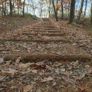 학령산(鶴翎山106m).안산(100m).공릉산(恭陵山108m).간매봉(78m).매봉(124m).돌봉산(184m)/경기 파주 이미지