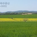 축제공인중개사사무소 이미지