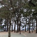 상주유자랜드 이미지