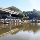 용면파크낚시터 이미지