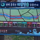 동삭2교 이미지