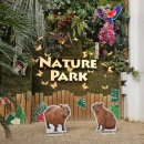 가창로 | 대구 야외동물원 대구 네이처파크 쿠팡 입장권 교감키트 구입 내돈내산 후기