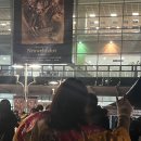 로젤리아 | 로젤리아 내한콘서트 서울 2025 후기