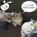 하나로13길 | 🥐홍대·망원동2편 어글리베이커리 이웃집 통통이 후기 꿀팁까지⭐️