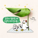 무랑가배