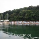 황금자연 이미지