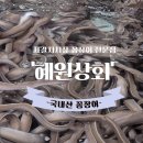 혜원상회 | 부산 자갈치시장 맛집, 서비스 주는 <혜원상회> 꼼장어 전문 방문 후기🐟